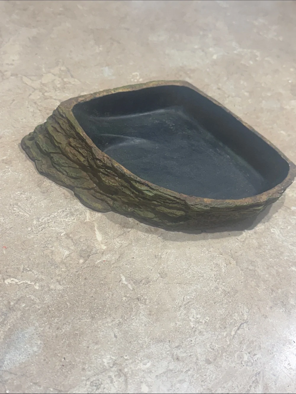 Reptile Dish